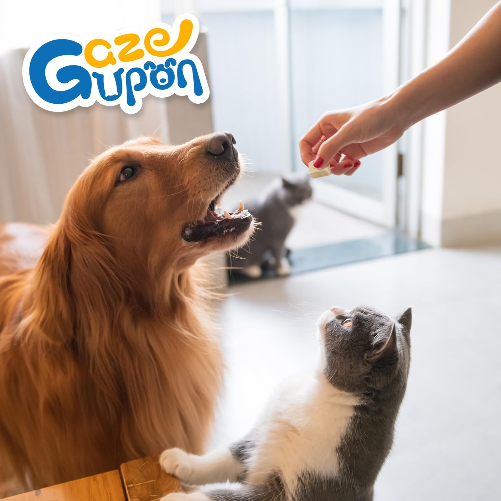 GazeUpon Chicken Treats suitable for puppies and adults during active days