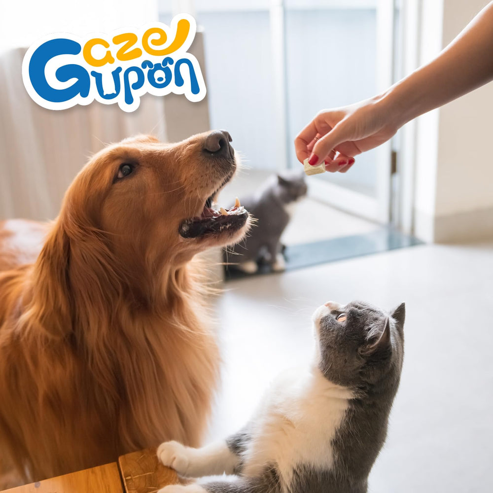 GazeUpon Chicken Treats suitable for puppies and adults during active days