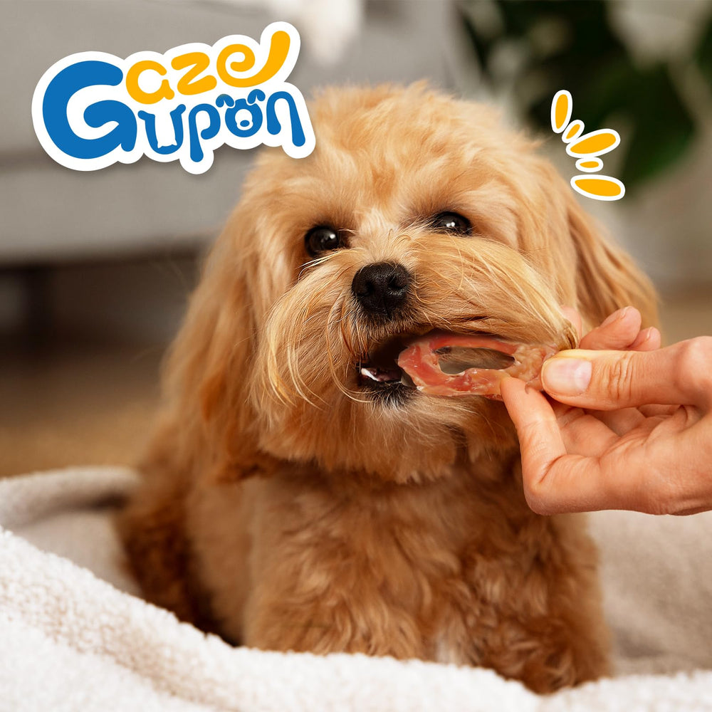gazeupon dog treats chicken jerky rings dog smile portrait during training