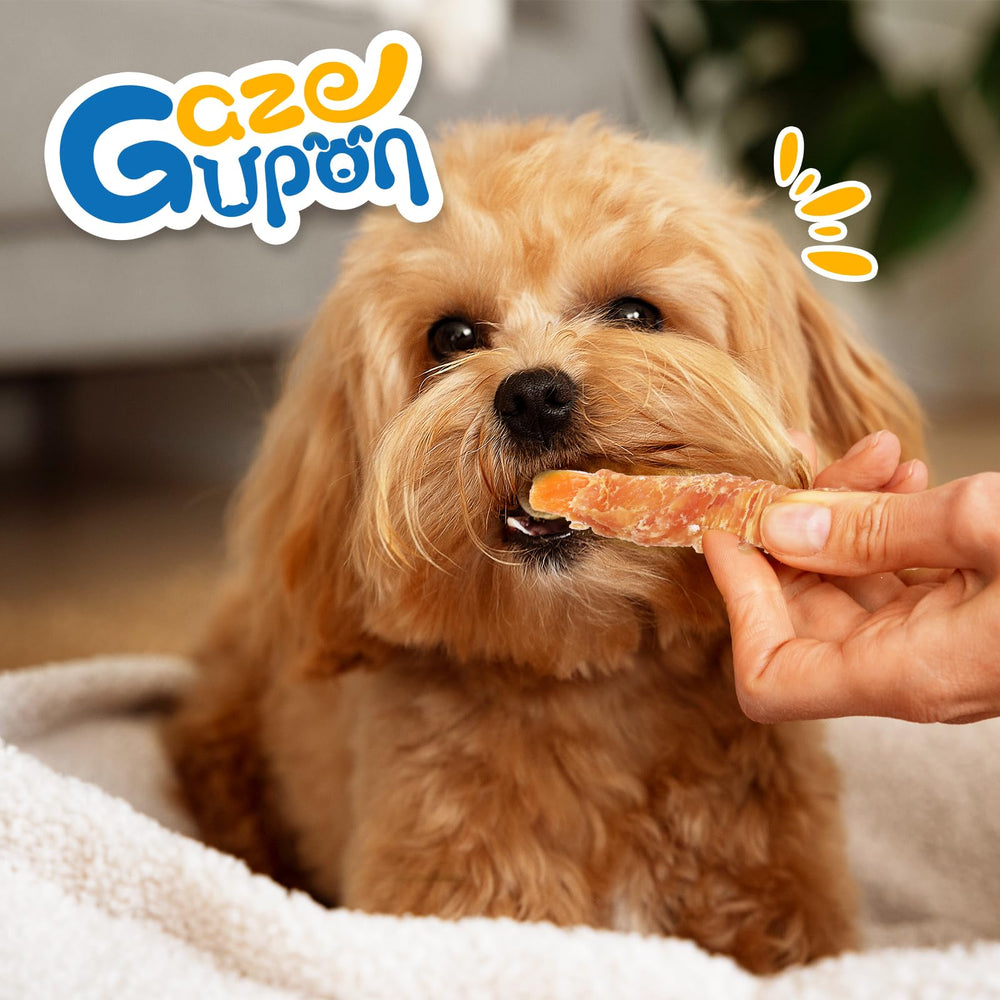 Gazeupon dog treats no artificial additives display emphasizes natural ingredients.