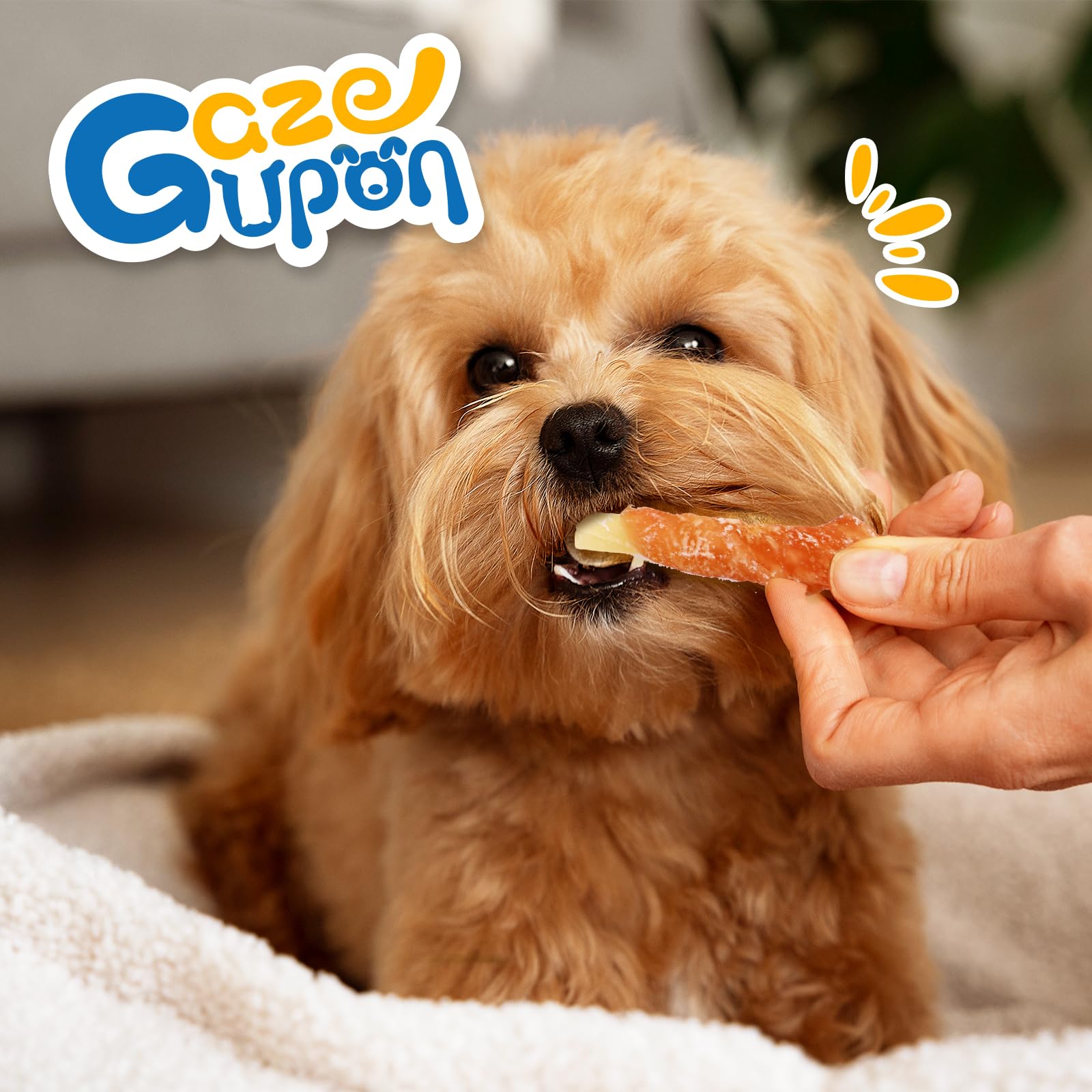 Gazeupon small-dog serving portion emphasizes bite-sized treats for easy consumption