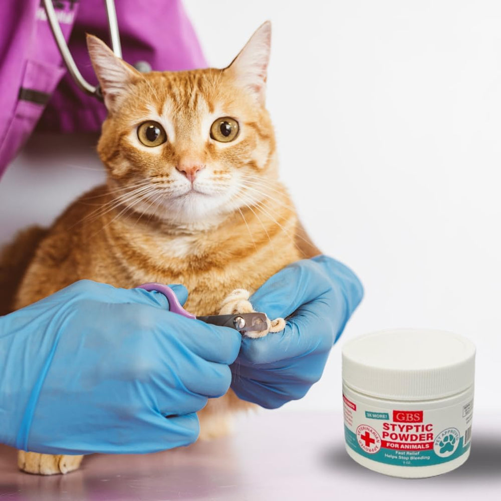 G.B.S styptic powder 5 oz value size for multiple pets.