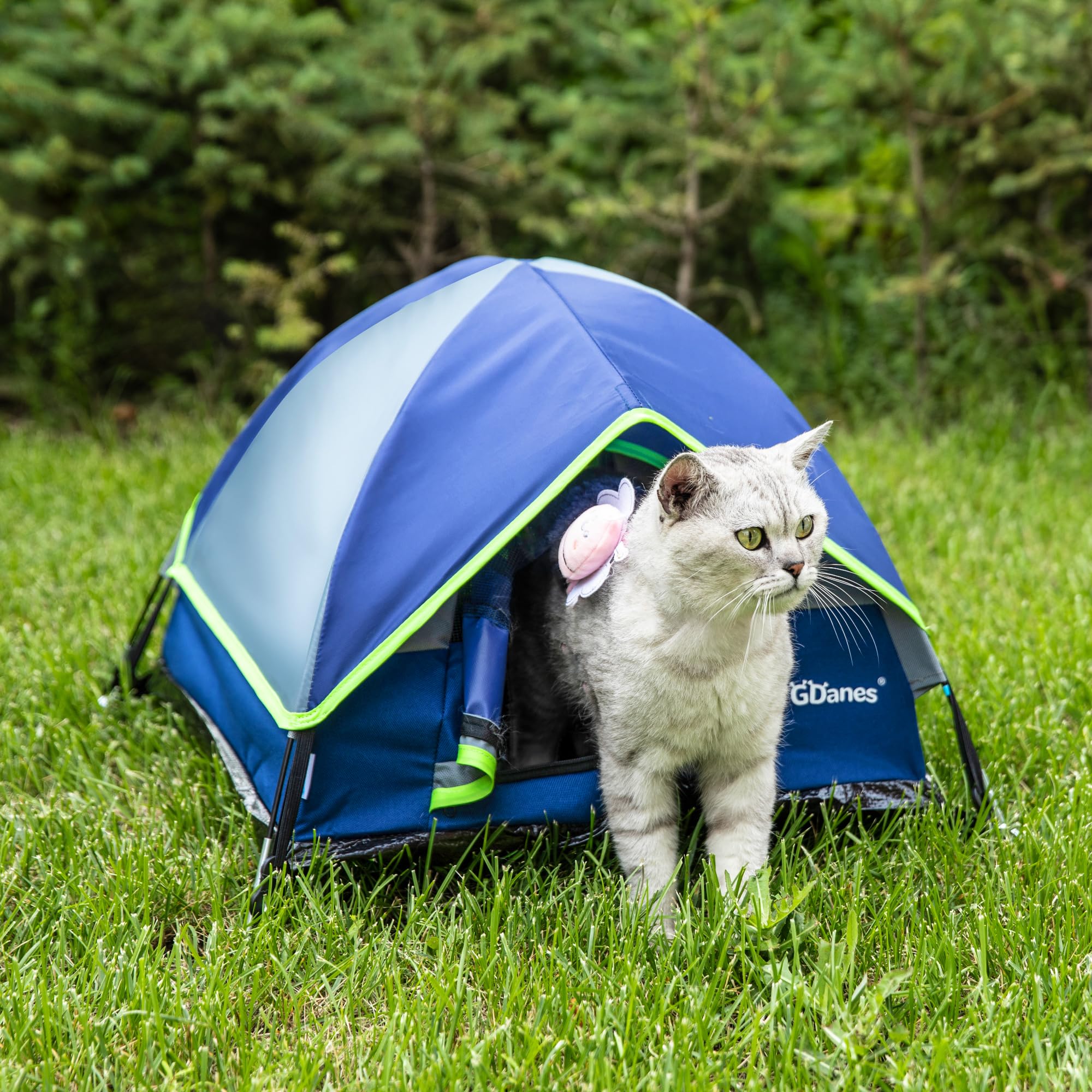 GDanes Blue Cat Tent microfiber fabric easy to clean