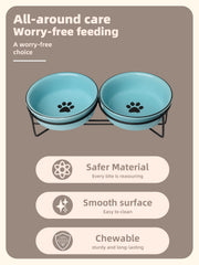 GDCZ raised stand helps pets eat with a more comfortable posture.