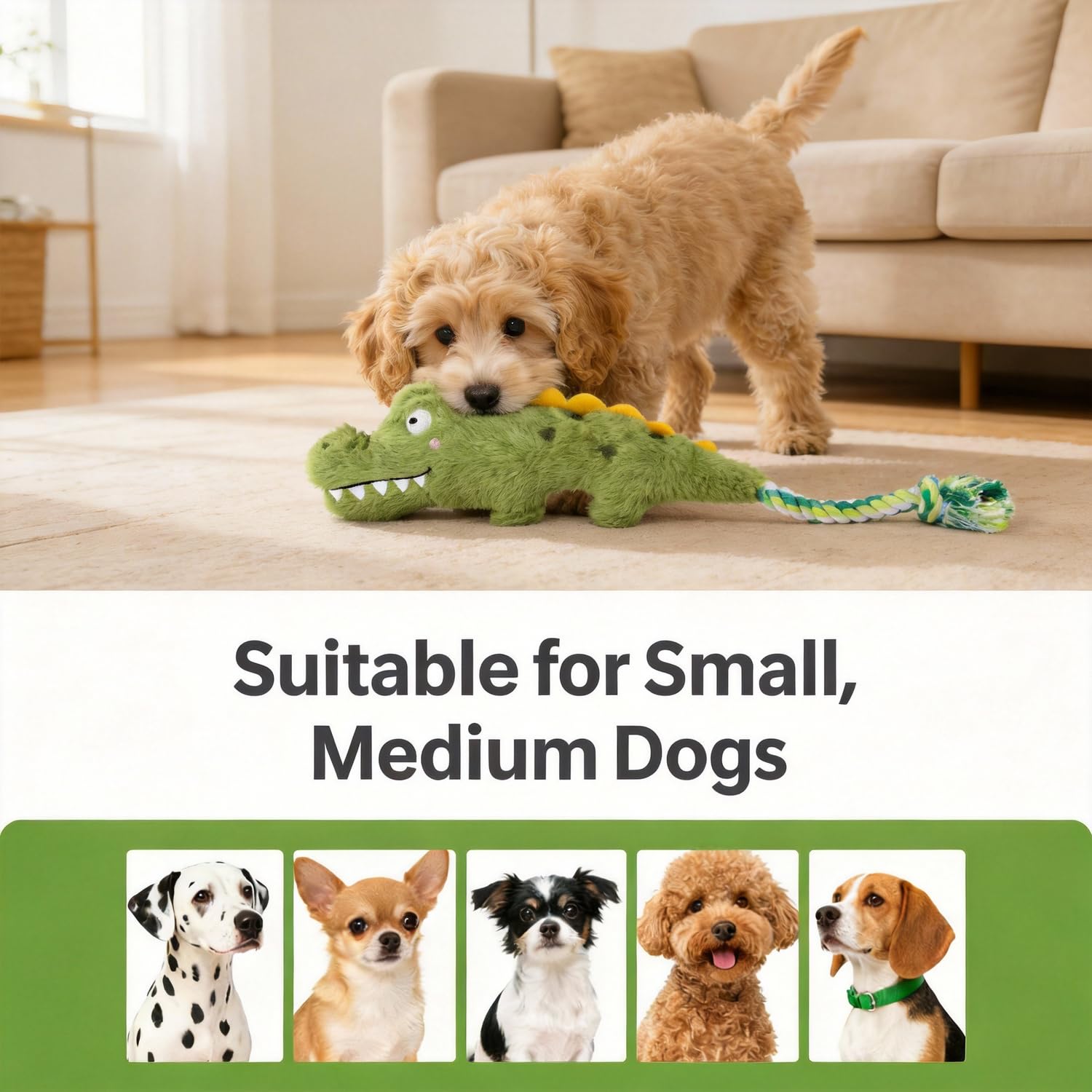 Squeaker inside the body stimulates interactive play without overwhelming dogs