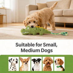 Squeaker inside the body stimulates interactive play without overwhelming dogs
