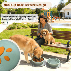 Gdsun dual compartments spill-proof design, keeps food dry and water clean.