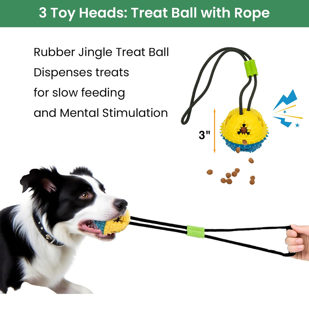 GDuolaPaws 5 ft bungee rope fits standard doors and small trees for versatile use