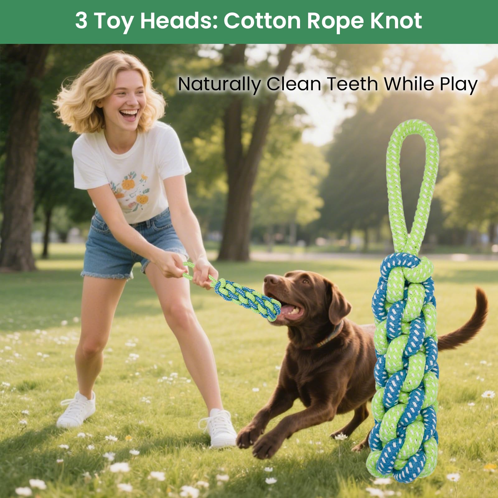 GDuolaPaws ideal for small and medium dogs to stay active and engaged