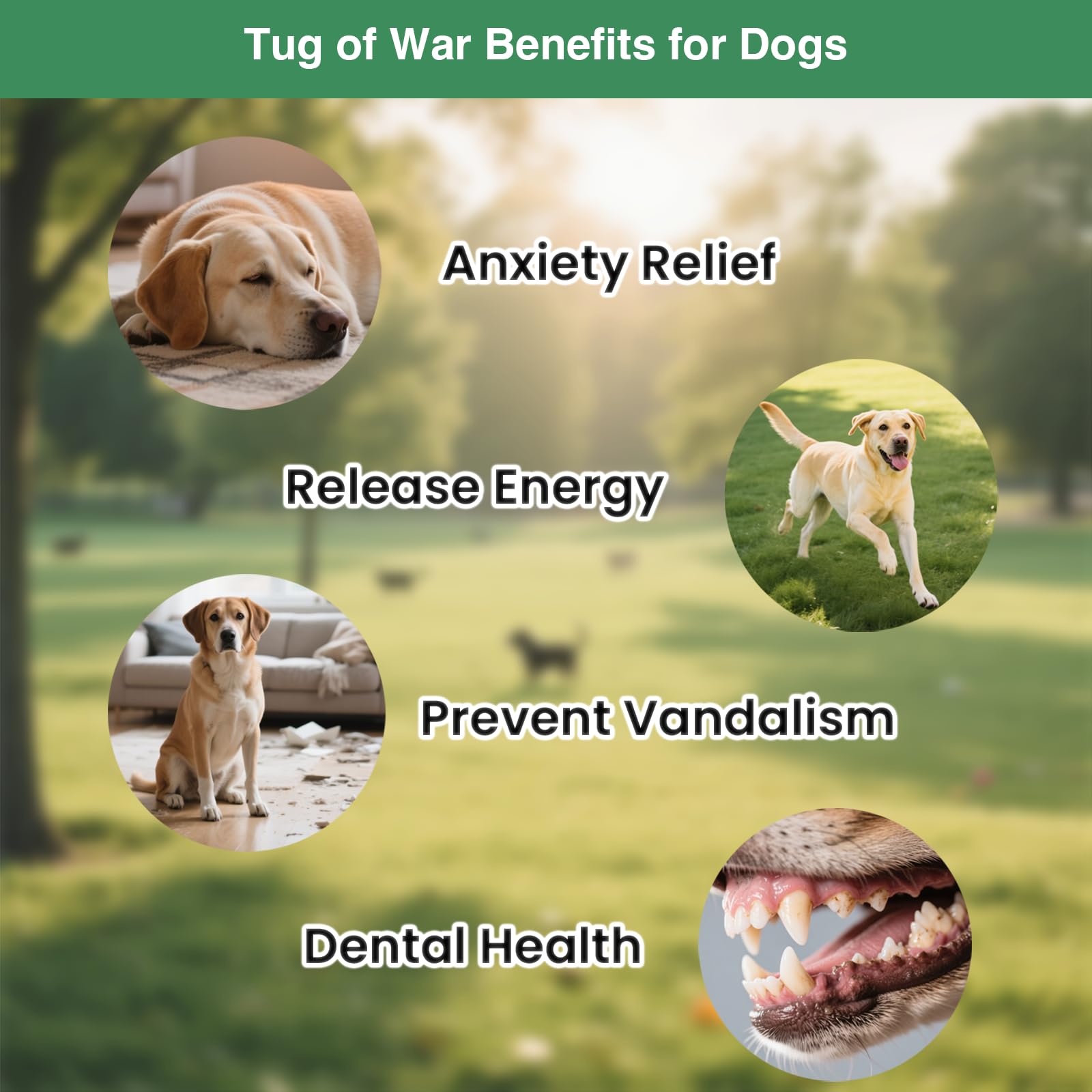GDuolaPaws not recommended for aggressive chewers or large breeds