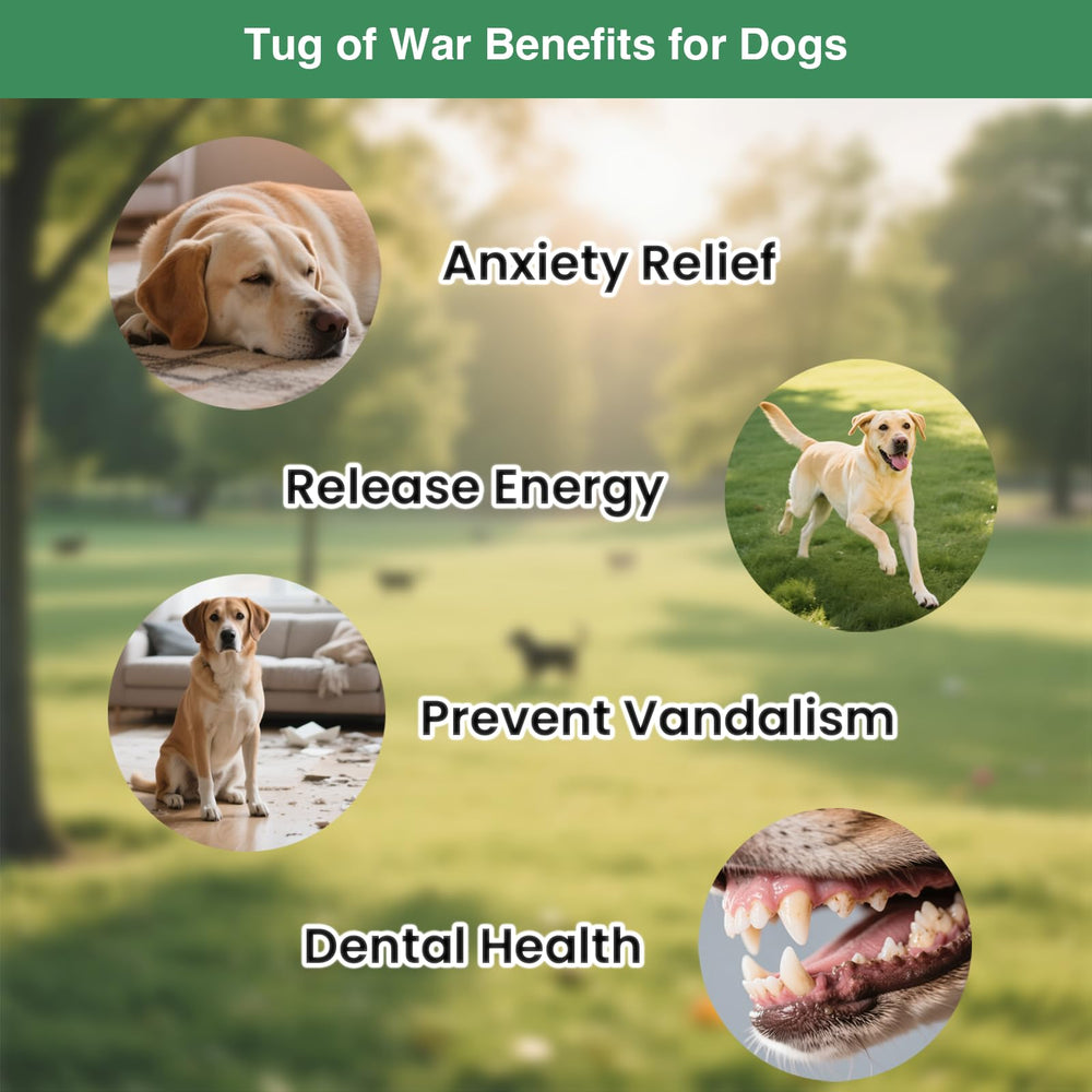 GDuolaPaws not recommended for aggressive chewers or large breeds