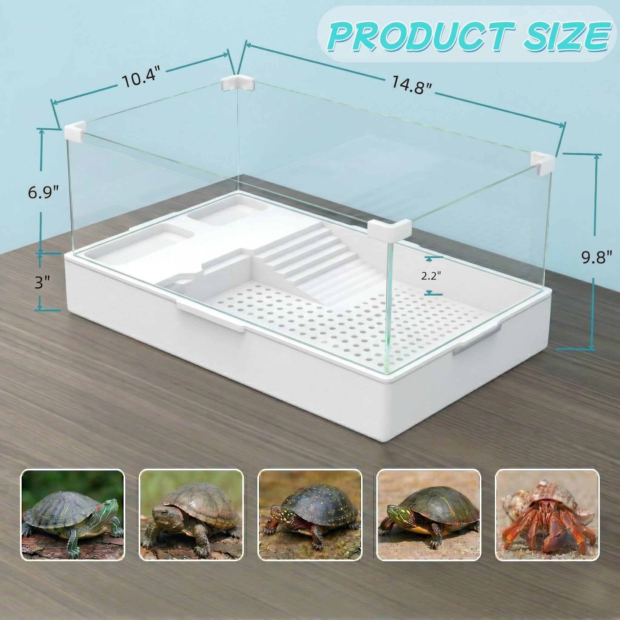 Geegoods turtle tank 360° view for easy observation of behavior.