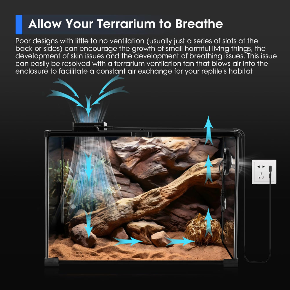 GeeKoit blue digital display visible from outside the terrarium
