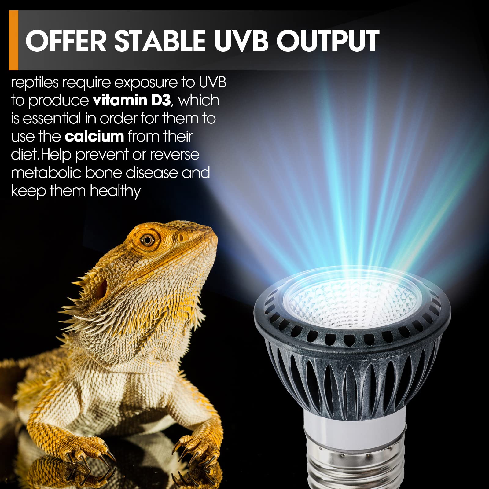 GeeKoit UVB Desert Light 5W in-use image – promotes natural UV exposure and activity.