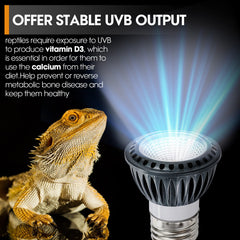 GeeKoit UVB Desert Light 5W in-use image – promotes natural UV exposure and activity.