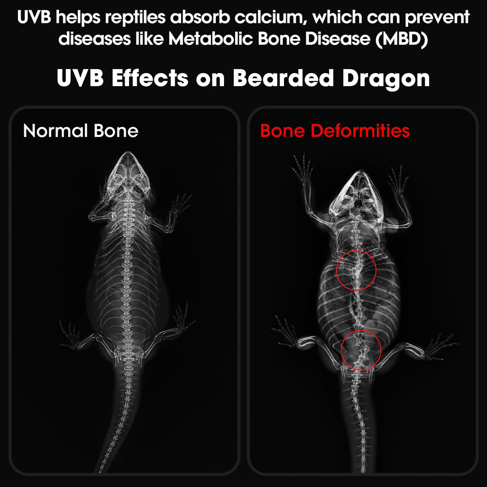 GeeKoit UVB light 12inch side controls shows timer and dimming in action