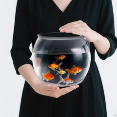 Geelin 1 gallon round fish bowl with panoramic view for aquatic displays.