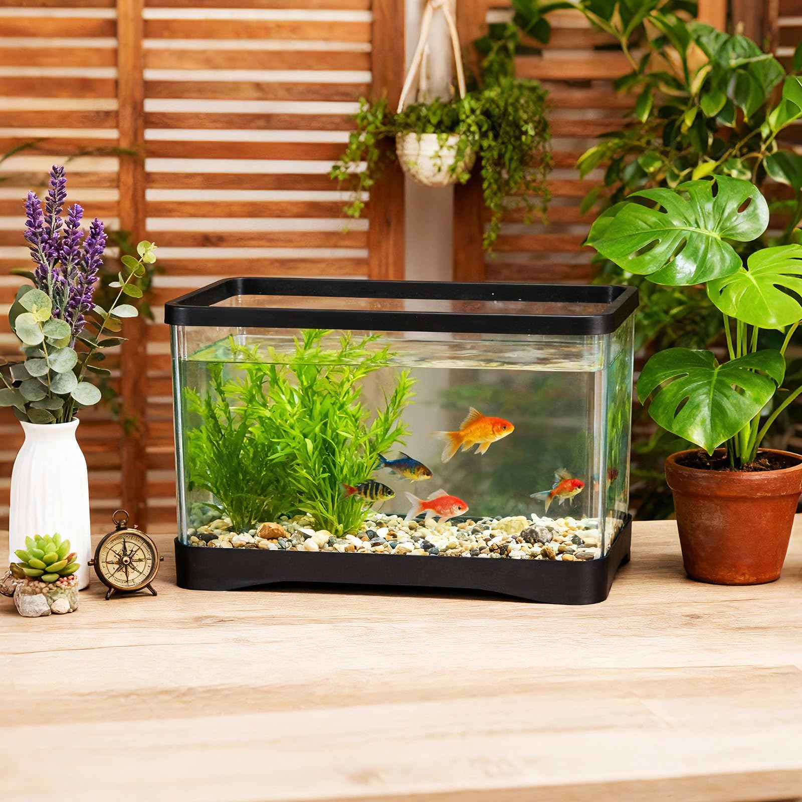 Geelin 2-gallon rectangular fish tank package contents includes one tank