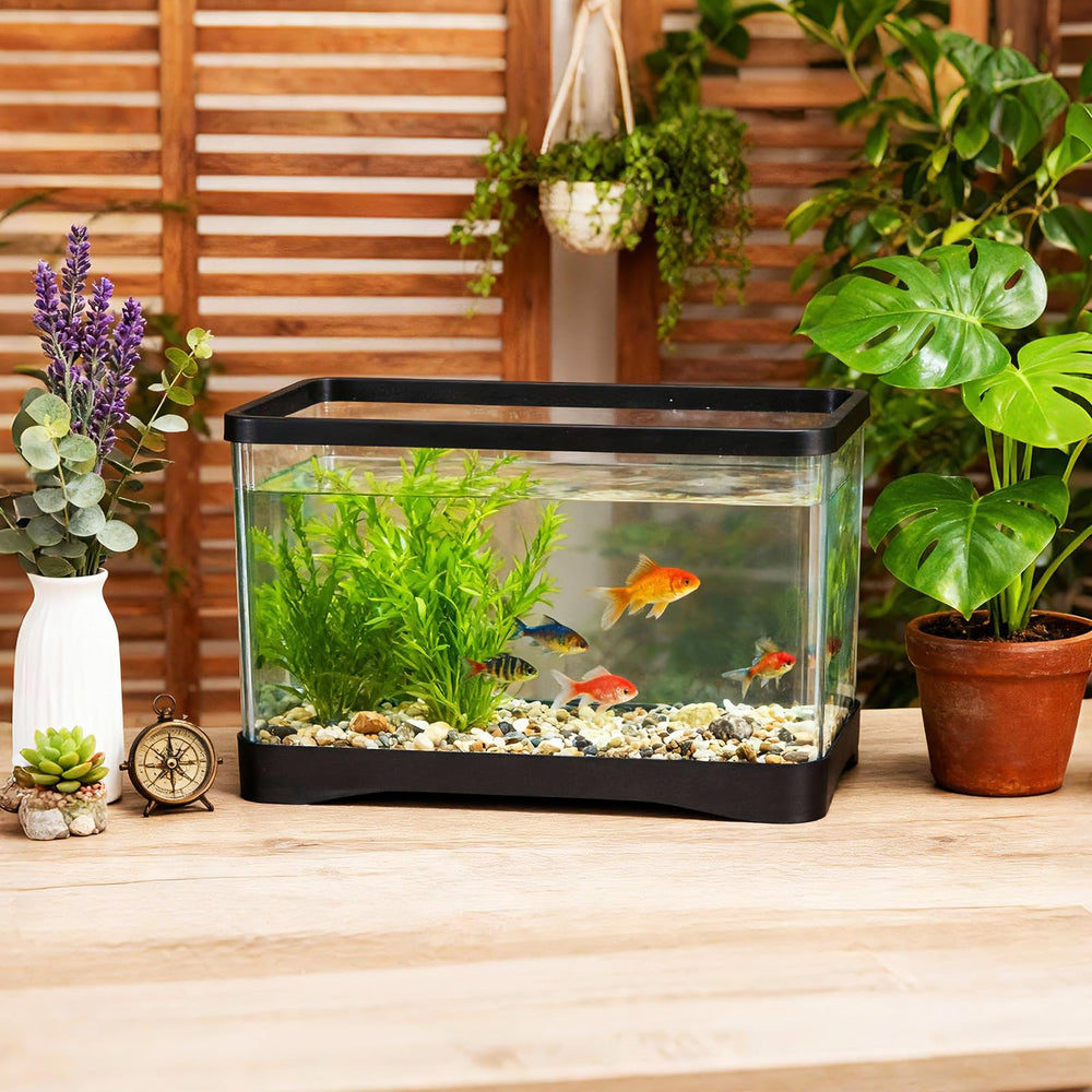 Geelin 2-gallon rectangular fish tank package contents includes one tank
