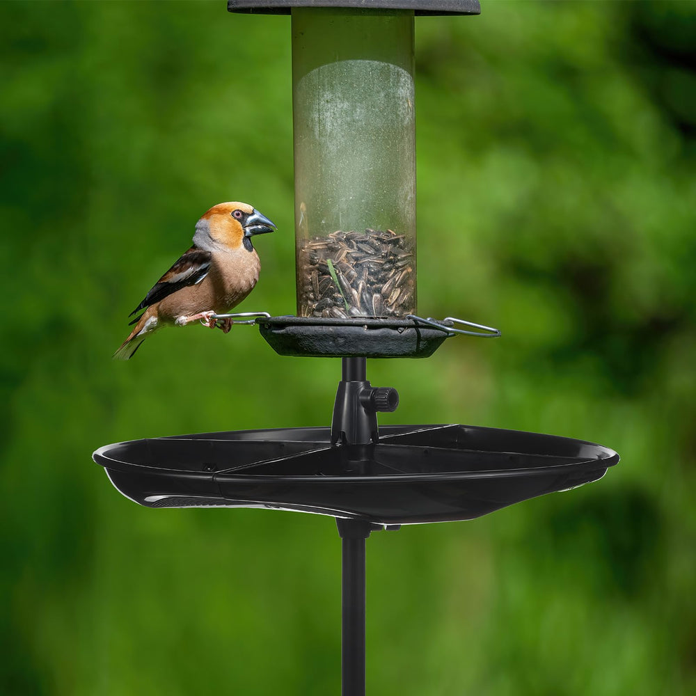 Geelin UV-resistant tray helps birds feed off the ground calmly in sun.