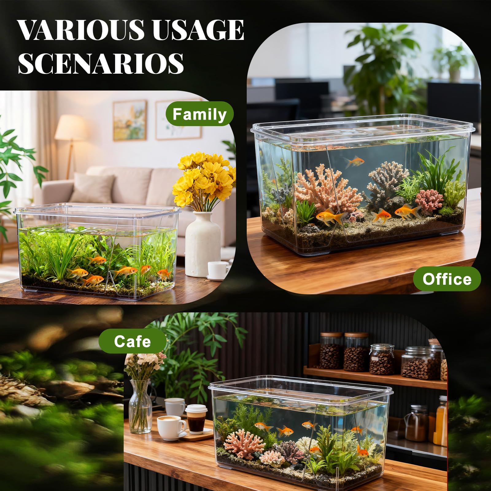 Geelin square fish tank fits as tabletop decor in any room