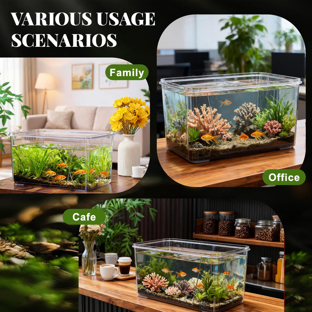 Geelin square fish tank fits as tabletop decor in any room