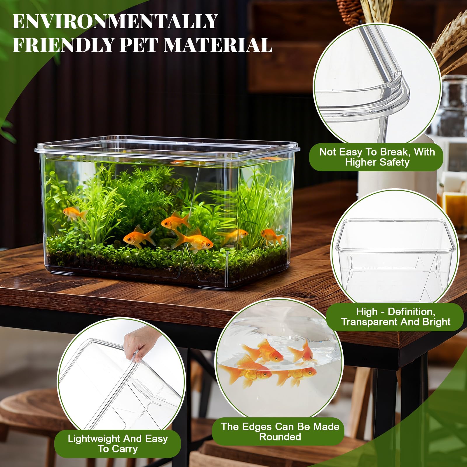 Geelin square fish tank doubles as terrarium and plant display