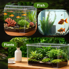 Geelin square fish tank acts as a versatile centerpiece for decor