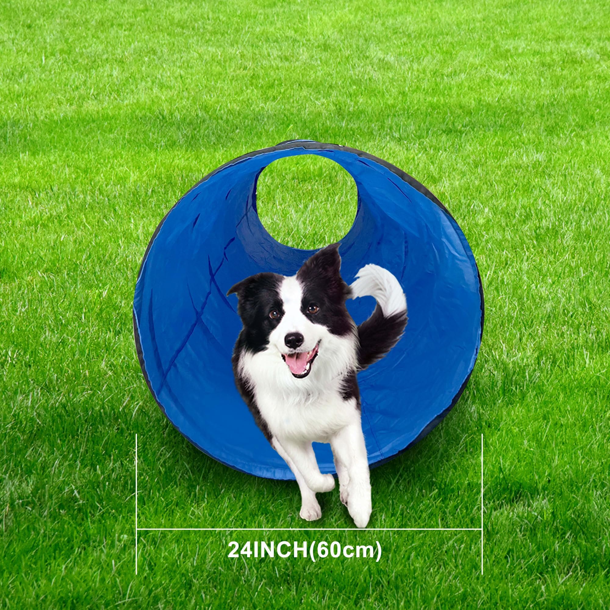 GeerDuo dog agility tunnel ground stakes enable stable placement.