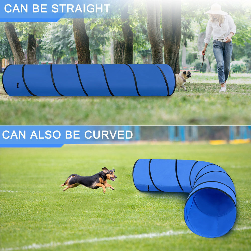 GeerDuo dog agility tunnel indoor-training setup for focused sessions.