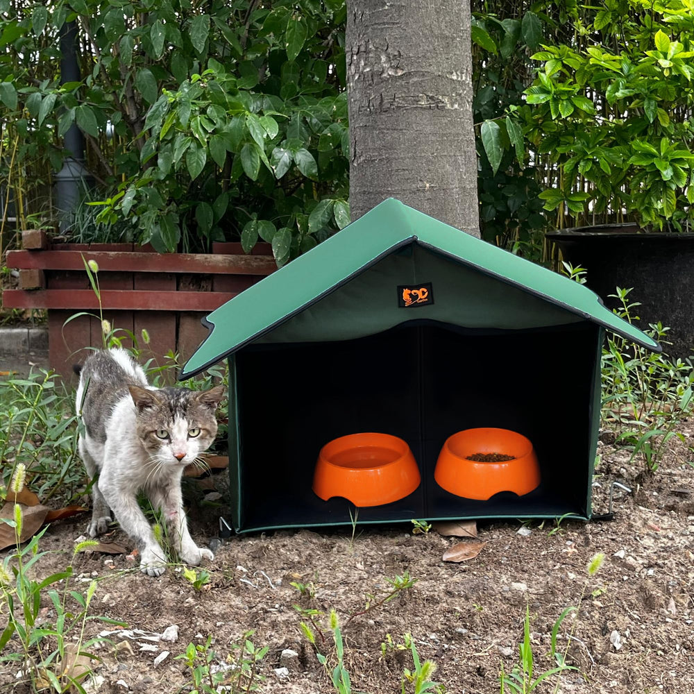 GeerDuo clear access design keeps cats comfortable during feeding.