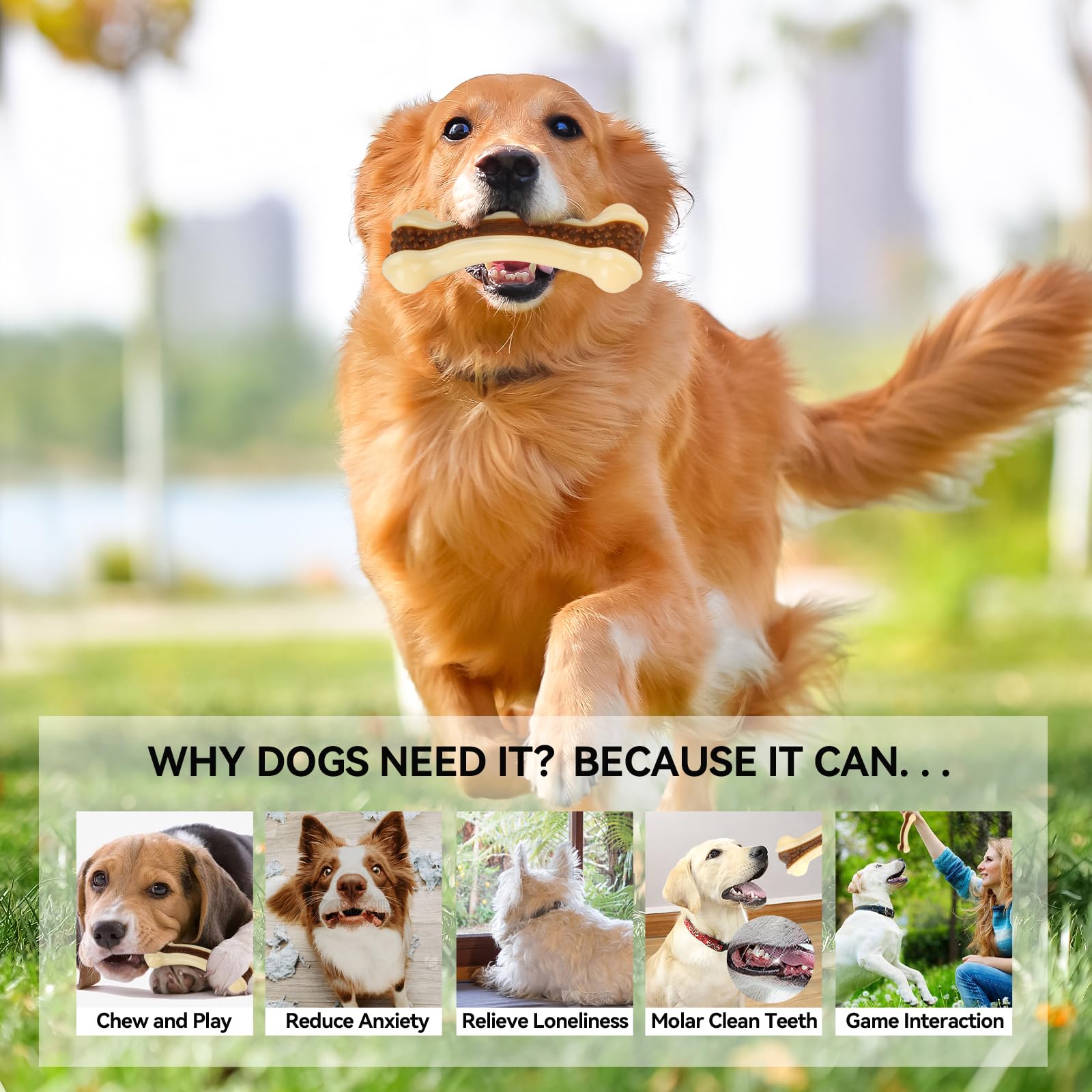 Geeyteek tough nylon bones designed for aggressive chewers