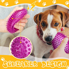 Gemscream dental-friendly spikes on the ball promote teeth cleaning during chew sessions.