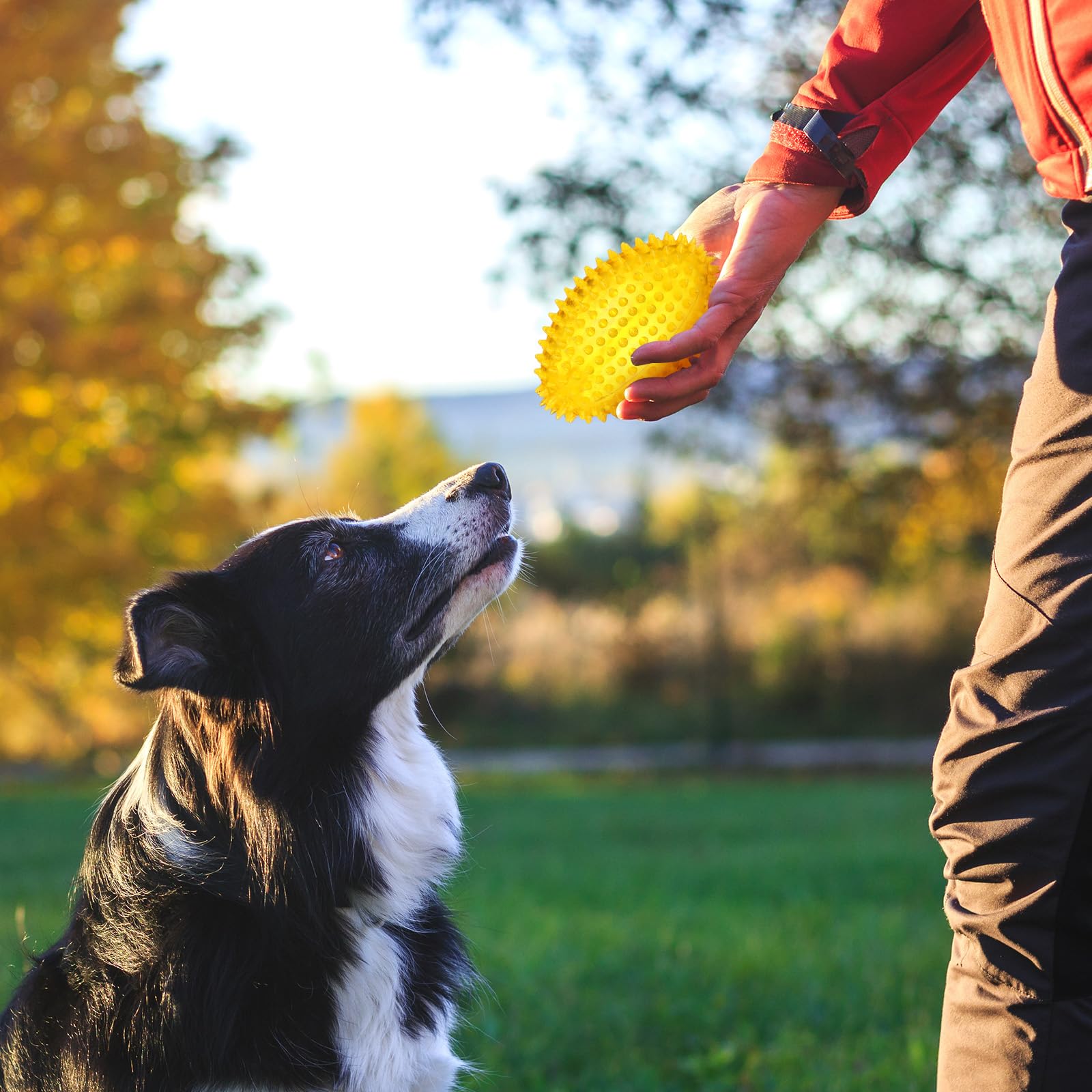 Gemscream durable rubber design for outdoor use, easy cleaning after play.