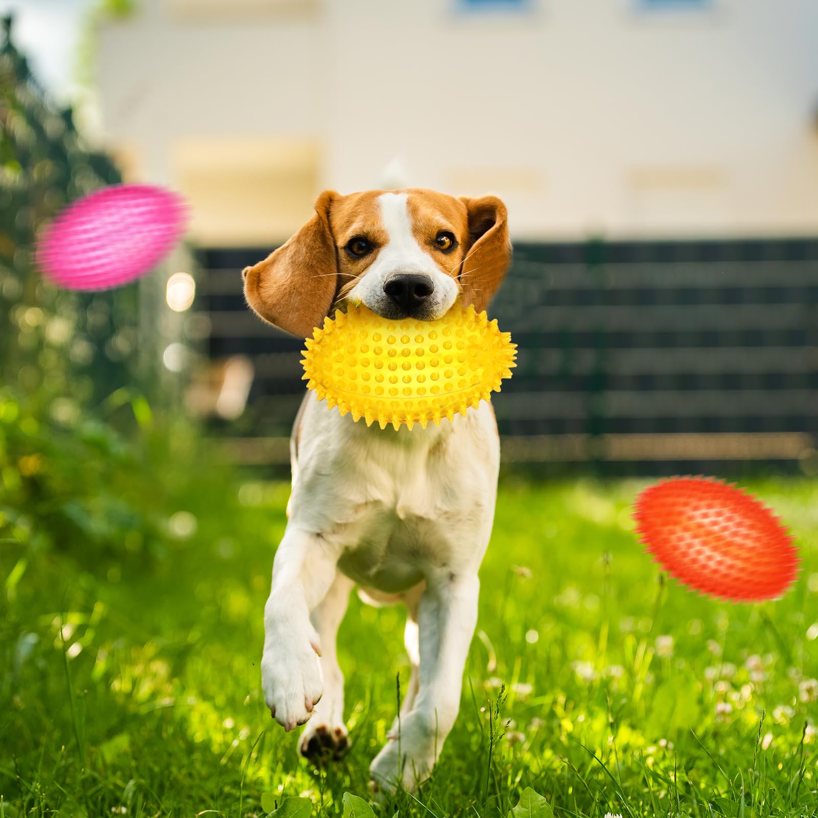 Gemscream interactive squeaky ball toy encourages training, fetch, and active play.