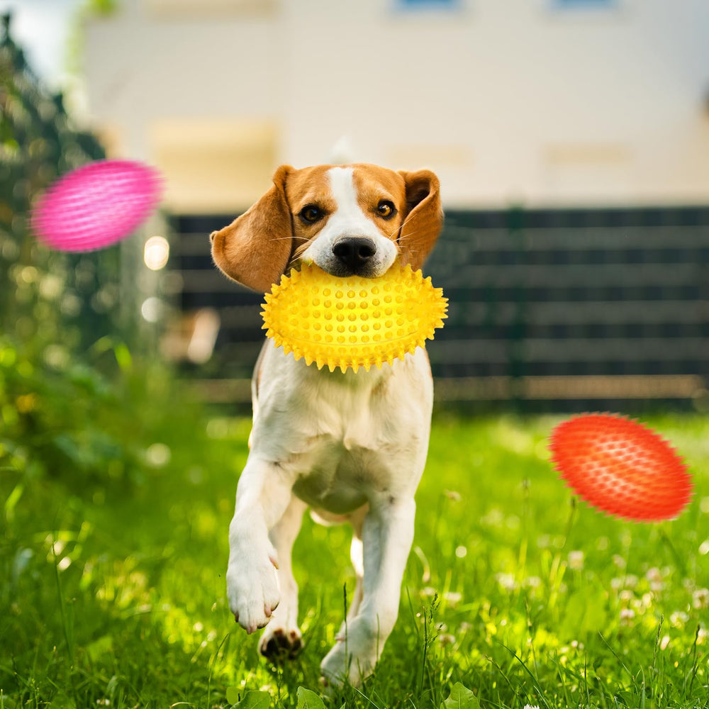 Gemscream interactive squeaky ball toy encourages training, fetch, and active play.
