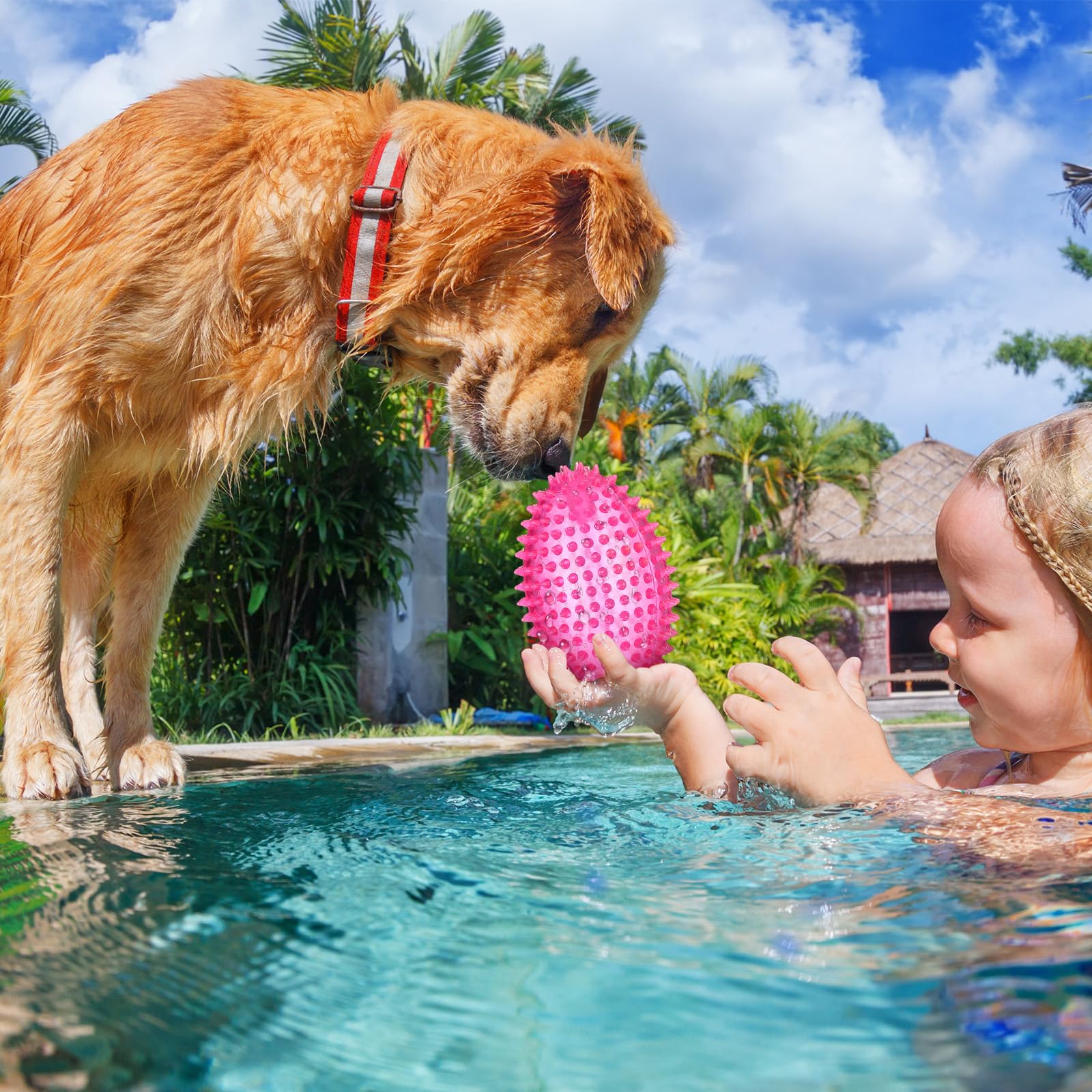 Gemscream medium-large dog toy for fetch training and sustained engagement.