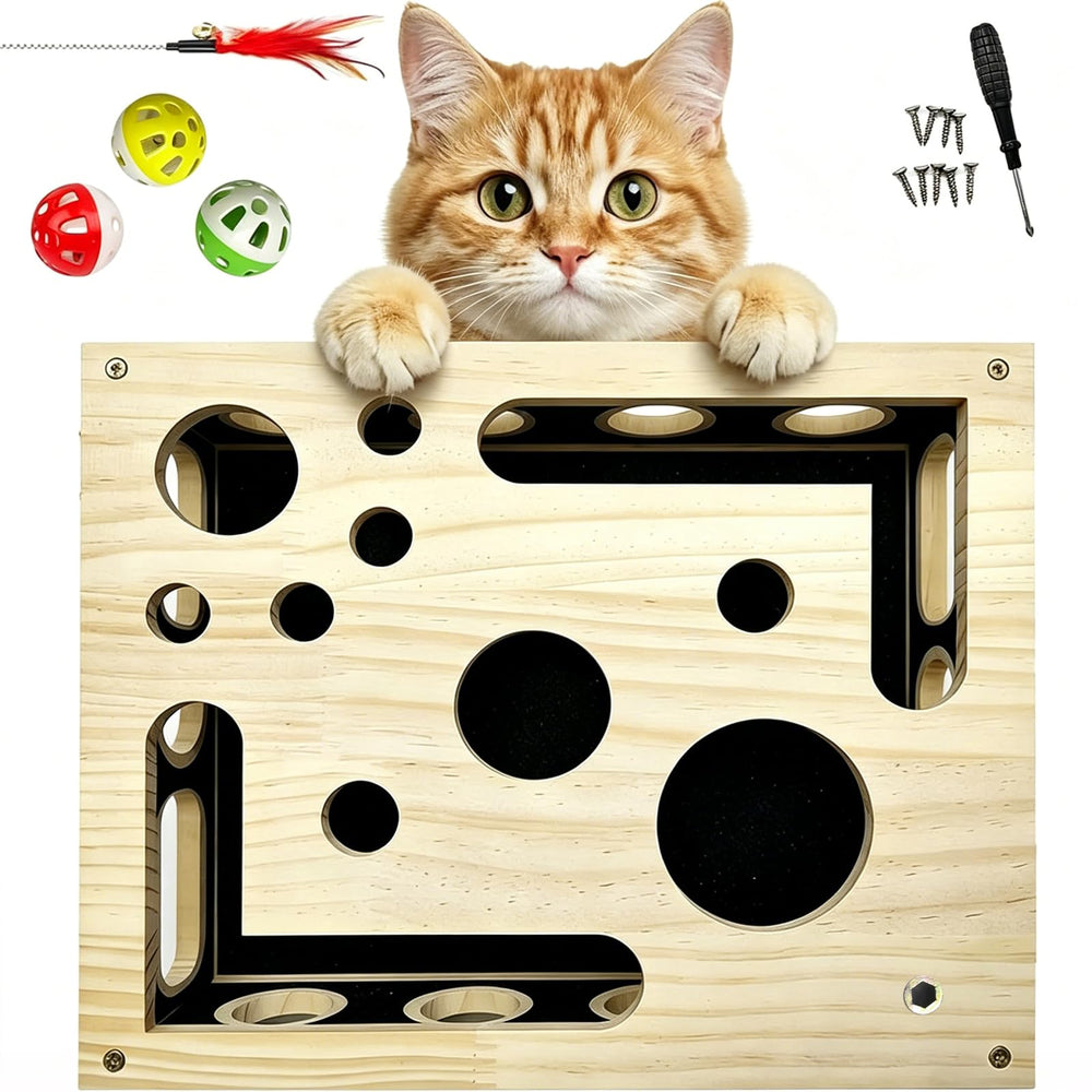 Generic 2026 cat scratch puzzle box, interior view for interactive enrichment and treat hiding.