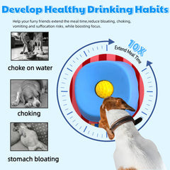 Generic 250ml capacity ideal for bone broth, yogurt, or vegetable juice.