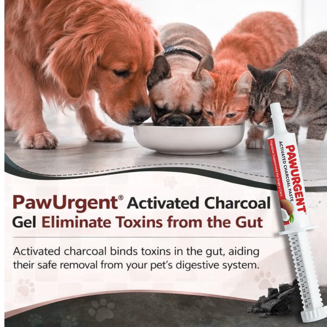 Generic 30 cc Activated Charcoal Gel for Dogs with clear labeling for quick reference.
