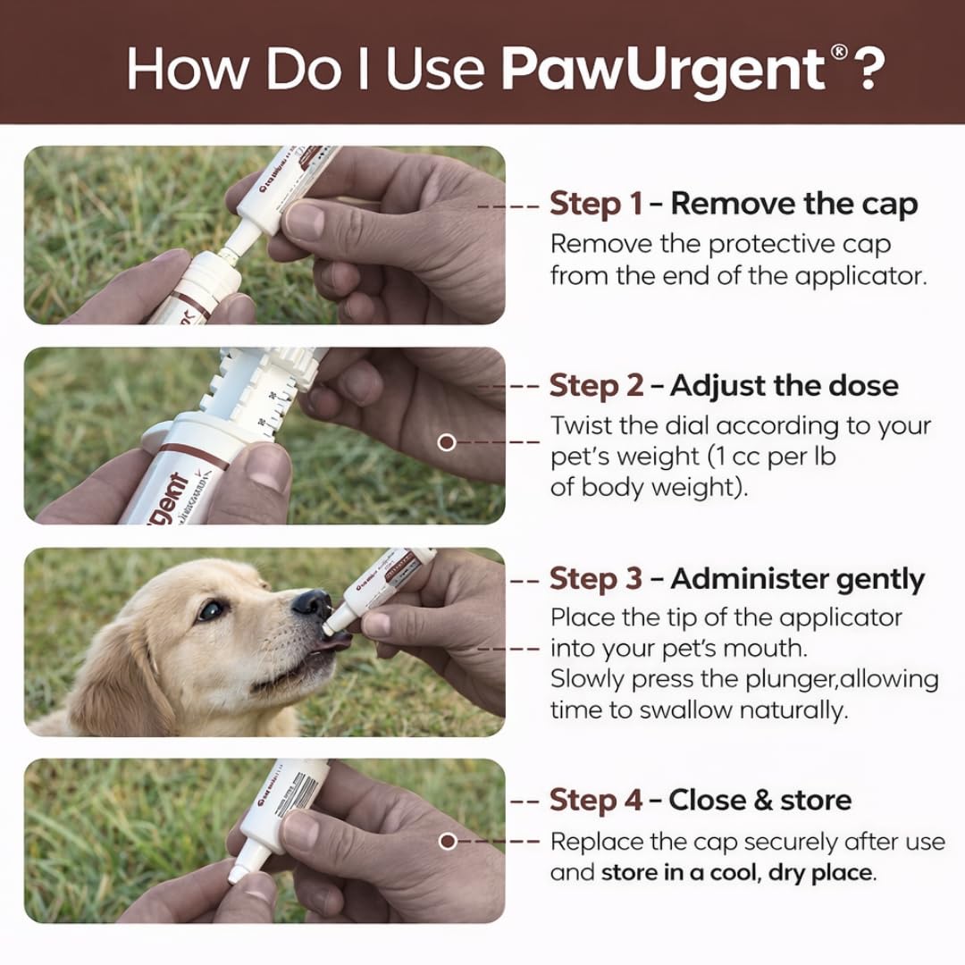Generic 30 cc Activated Charcoal Gel for Dogs outdoors during hikes.