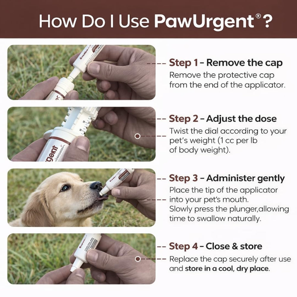 Generic 30 cc Activated Charcoal Gel for Dogs outdoors during hikes.