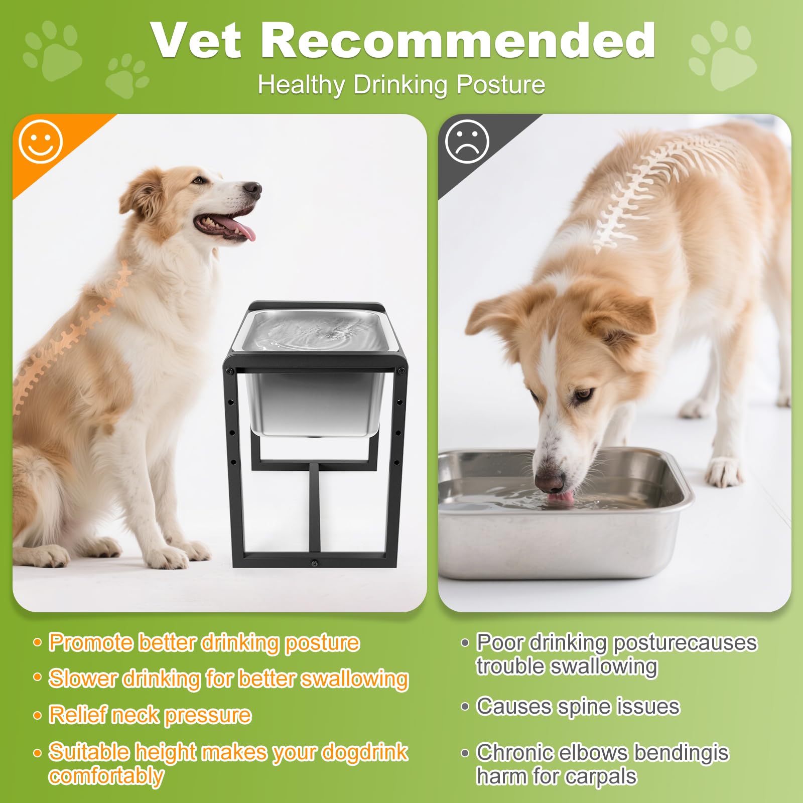Generic elevated dog bowl at 10-inch height supports comfortable eating posture.