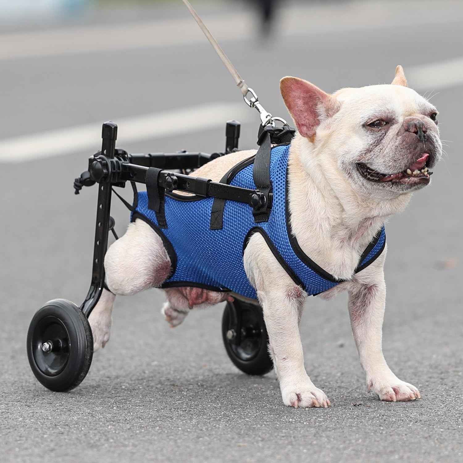 Generic Adjustable Small Dog Wheelchair adjustable-dimensions enables precise fit for various sizes.
