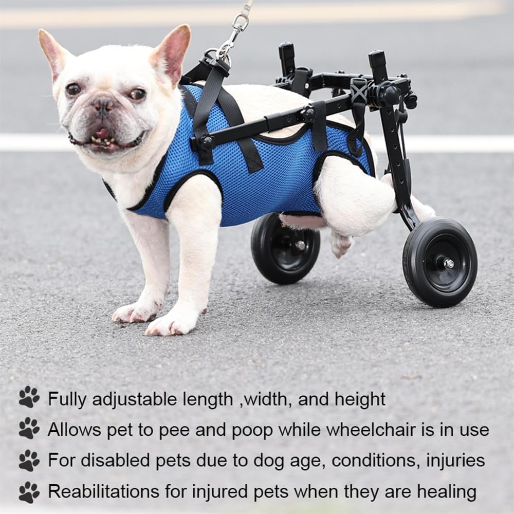Generic Adjustable Small Dog Wheelchair hip-support provides stable hind-leg support for daily activity.