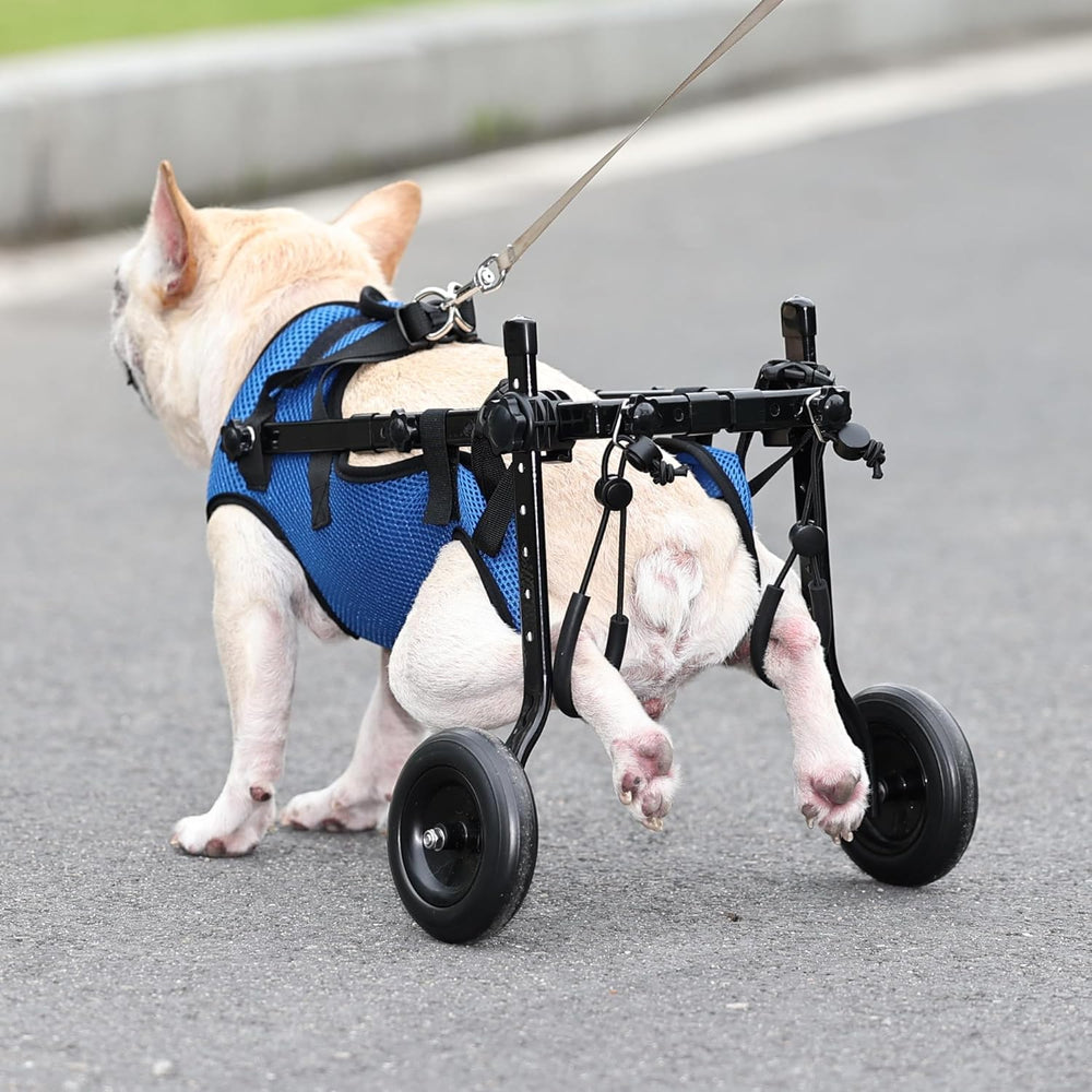 Generic Adjustable Small Dog Wheelchair rear-leg-support enables easy exploration and short walks.