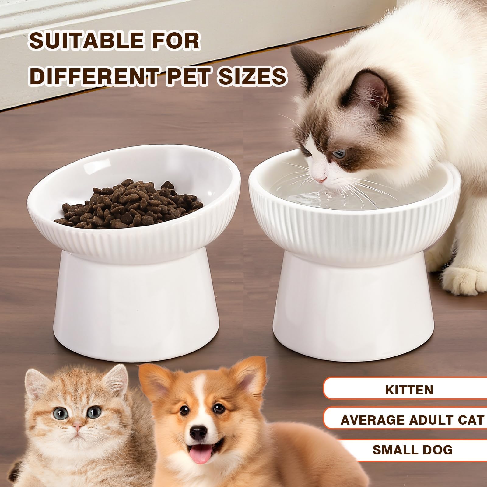 Generic anti-vomiting elevated bowl supports comfortable eating posture.