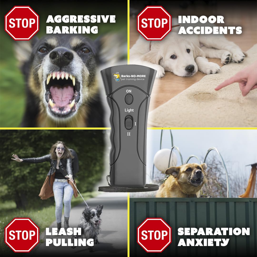 Generic Barks No More in action during quiet training.