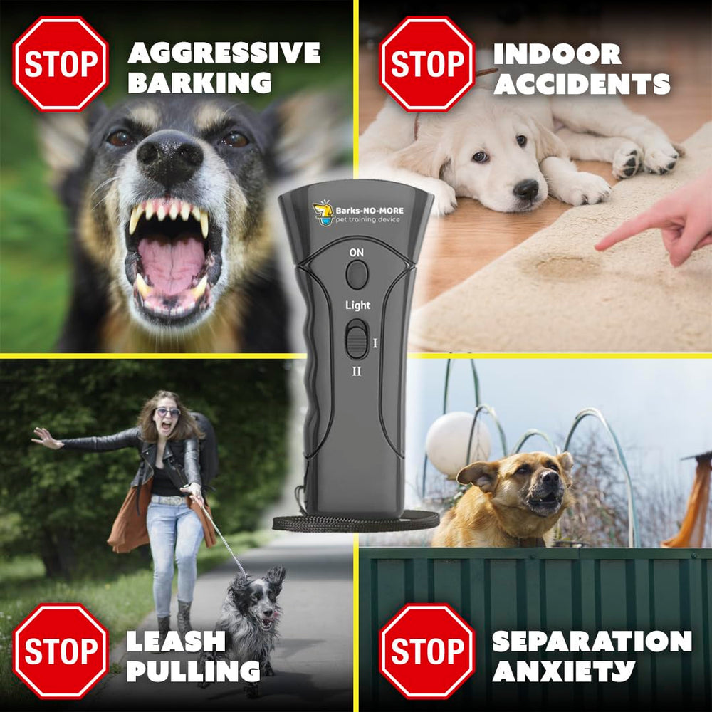 Generic Barks No More in action during quiet training.