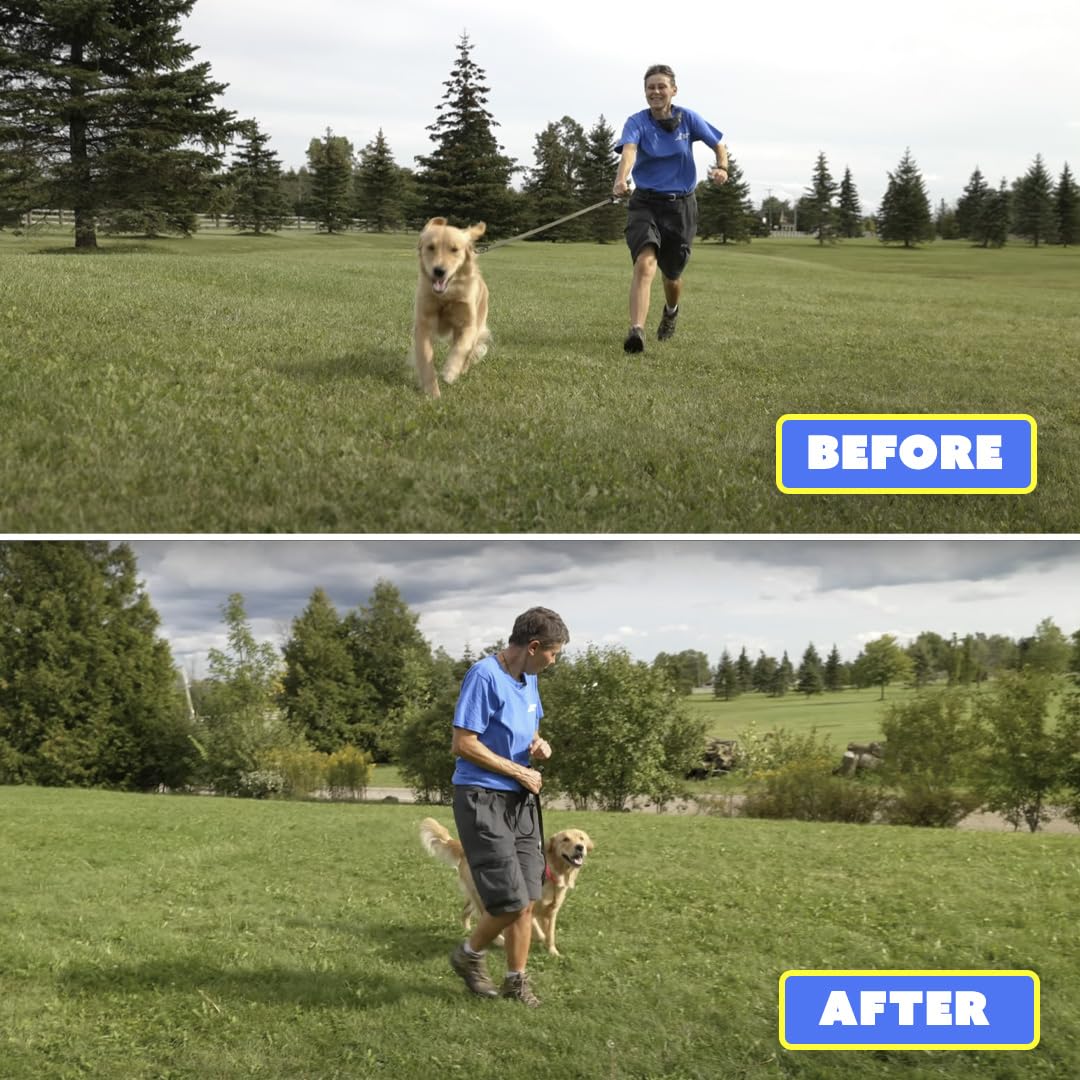 Generic Barks No More handheld unit pressed for quick correction.